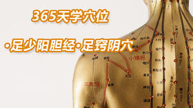 13.足少阳胆经34.足窍阴穴
