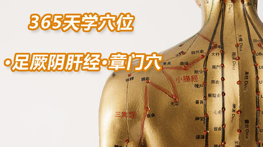 14.足厥阴肝经102.章门穴 商品图0