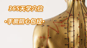 11、手厥阴心包经