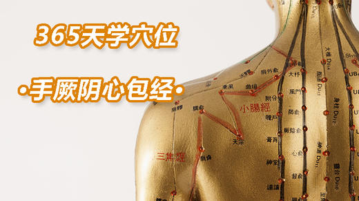 11、手厥阴心包经 商品图0