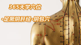 14.足厥阴肝经7.阴包穴