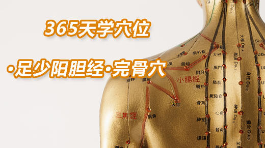 13.足少阳胆经10.完骨穴 商品图0