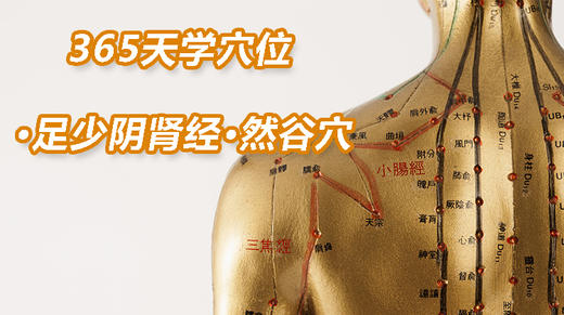 10.足少阴肾经1.然谷穴 商品图0