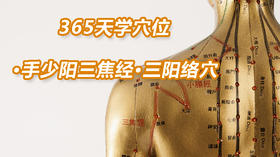 12.手少阳三焦经4.三阳络穴