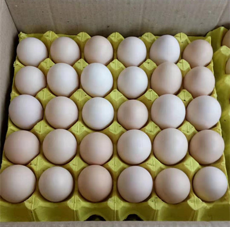 丹寨县 土鸡蛋,1板/30个