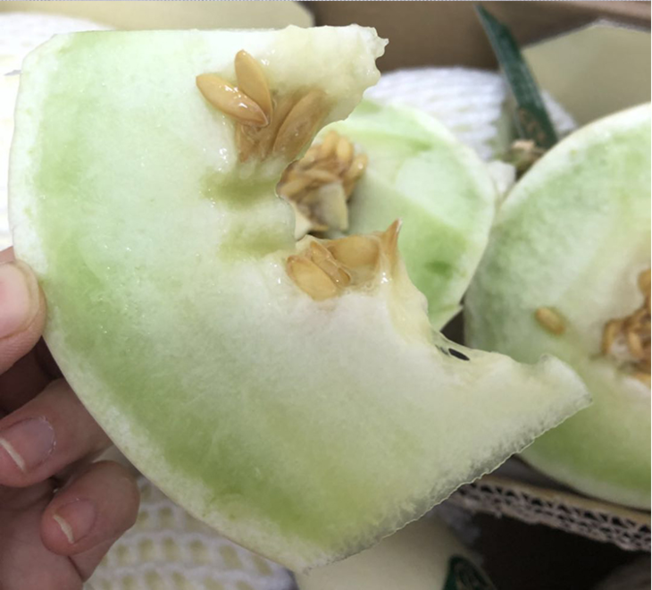台湾林师傅白雪蜜瓜 新鲜水果瓜 哈密瓜