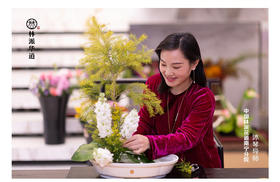 花道研习必备课！中国花道十二段法万人导师微课。第三集 一段圆满式立型