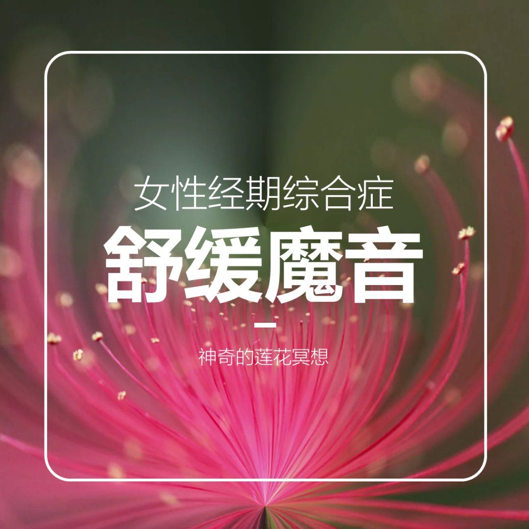 莲花冥想丨经期舒缓魔音