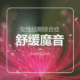 莲花冥想丨经期舒缓魔音