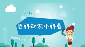 大茉莉百科视频动画