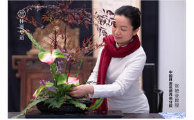 花道研习必备课！中国花道十二段法万人导师微课。第二集 花器的鉴赏及应用