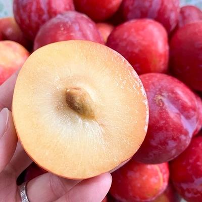 智利进口红李 2斤装 个头饱满  口感脆嫩  酸甜多汁 商品图1