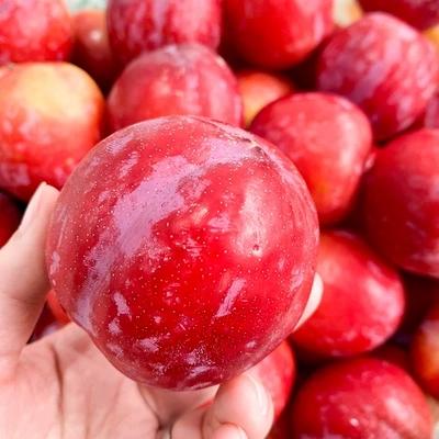 智利进口红李 2斤装 个头饱满  口感脆嫩  酸甜多汁 商品图2