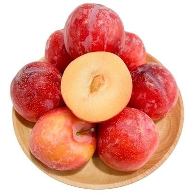 智利进口红李 2斤装 个头饱满  口感脆嫩  酸甜多汁 商品图0