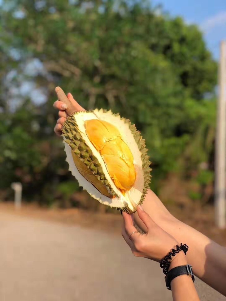 泰国新到【托曼尼猫山王榴莲】