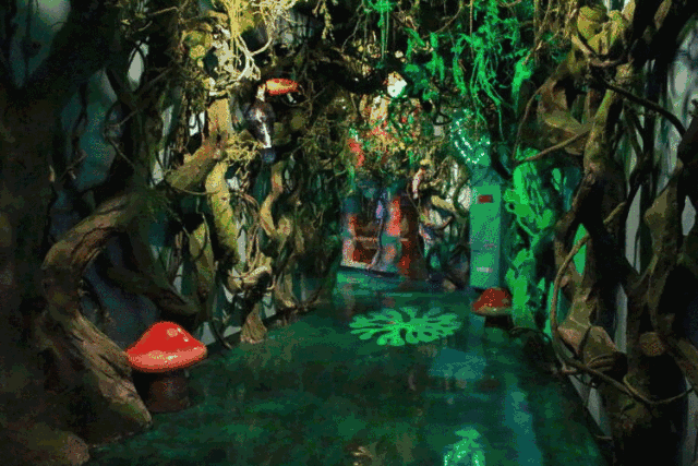 让你度过快乐的时光,小海狮的聪明与智慧,让人叹为观止 踏入门口,映入