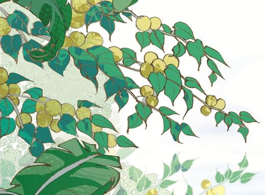 国学版2019.5-6月 文苑撷英朗诵《闲居初夏午睡起》 商品图0