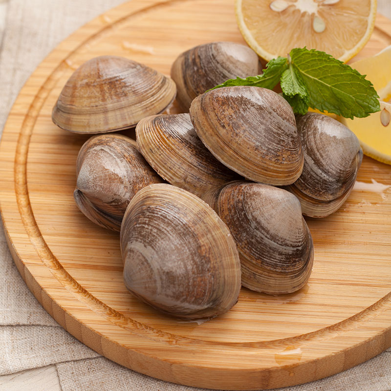 丹东黄蚬子 | 个头更大肉更肥 味道鲜美 营养丰富 护肝造血