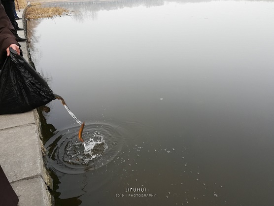 积福慧己亥年（2019）首期放生法会回顾