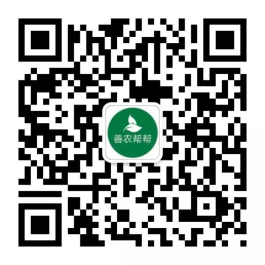 父母道i 商品图0