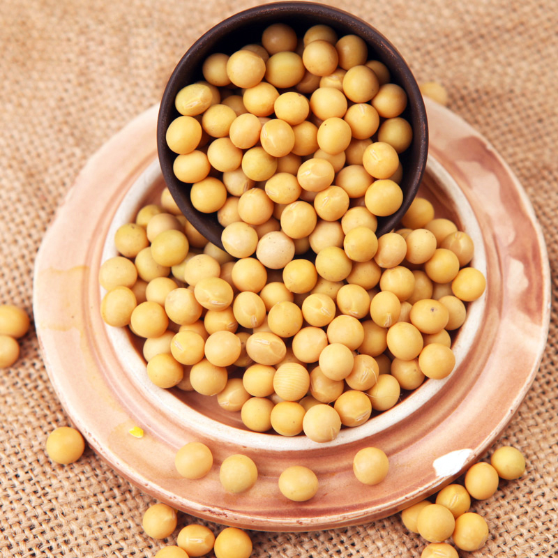 玖品东北黄豆900g五谷杂粮粗粮搭豆浆原材料能发芽2包装干黄小豆