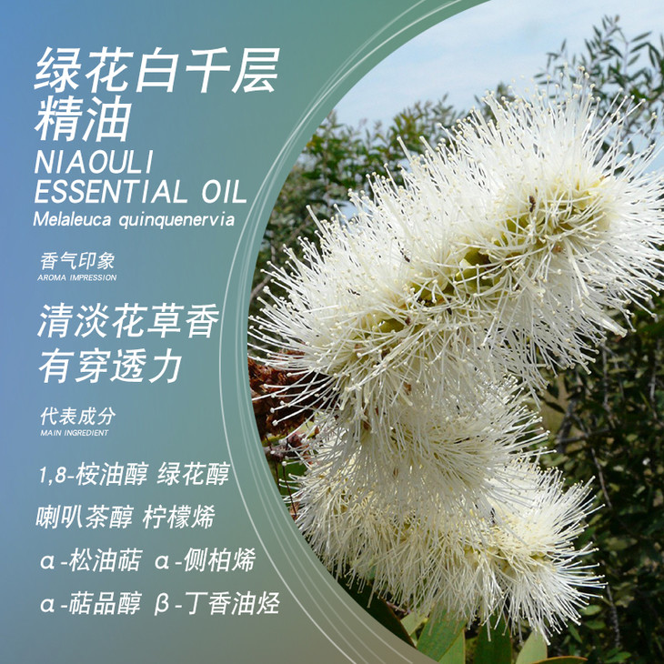 satya澳大利亚绿花白千层精油10ml单方精油