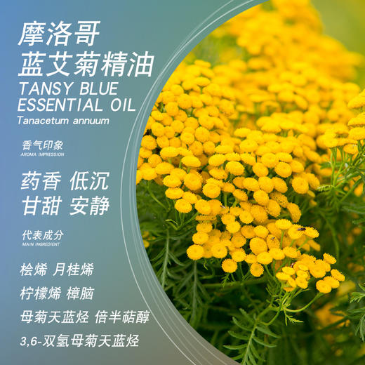 satya摩洛哥蓝艾菊精油5ml富含母菊天蓝烃 单方精油