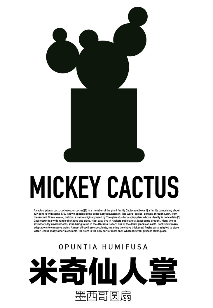 micky cactus 米奇仙人掌