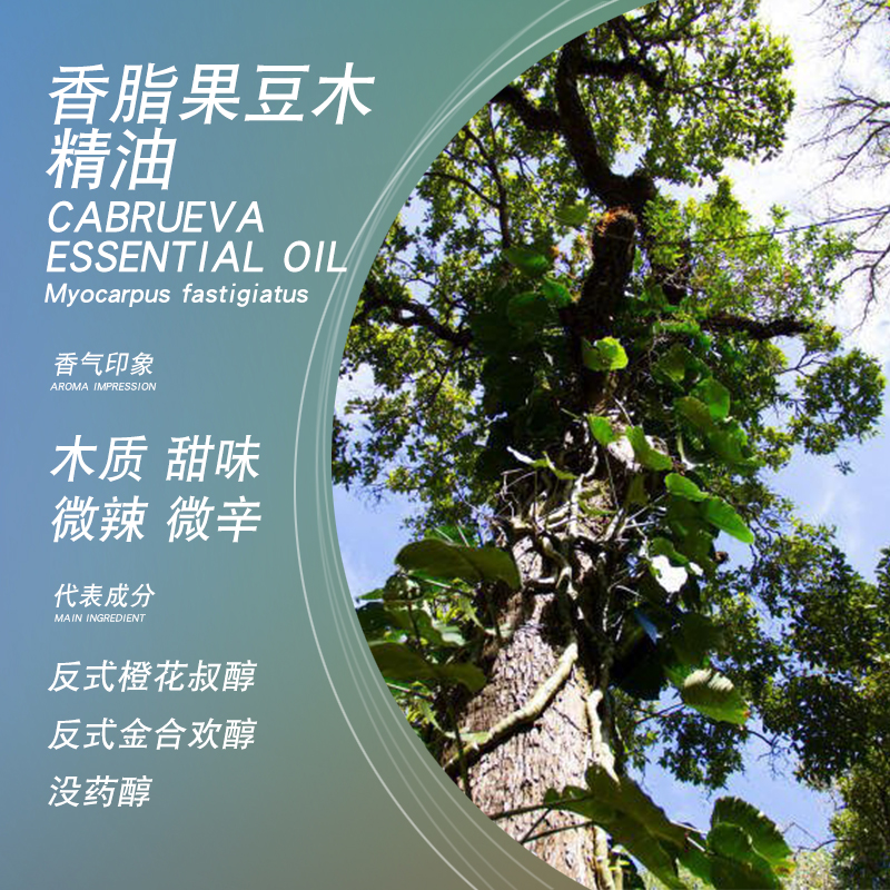 satya香脂果豆木精油5ml单方精油