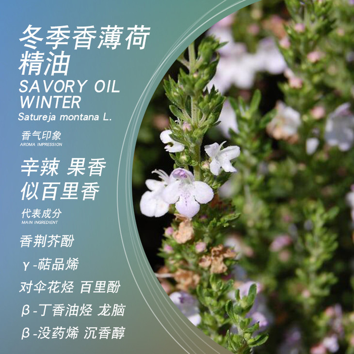 satya奥地利冬季香薄荷精油5ml 单方精油