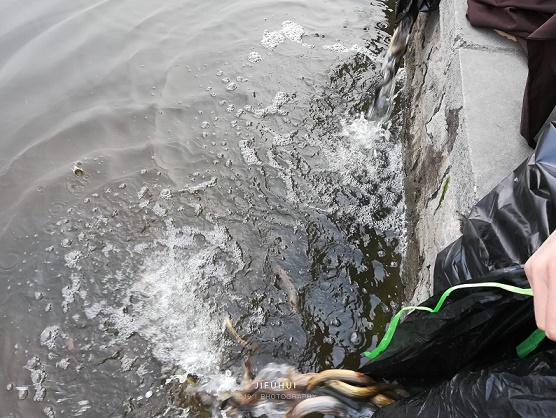 积福慧己亥年（2019）首期放生法会回顾