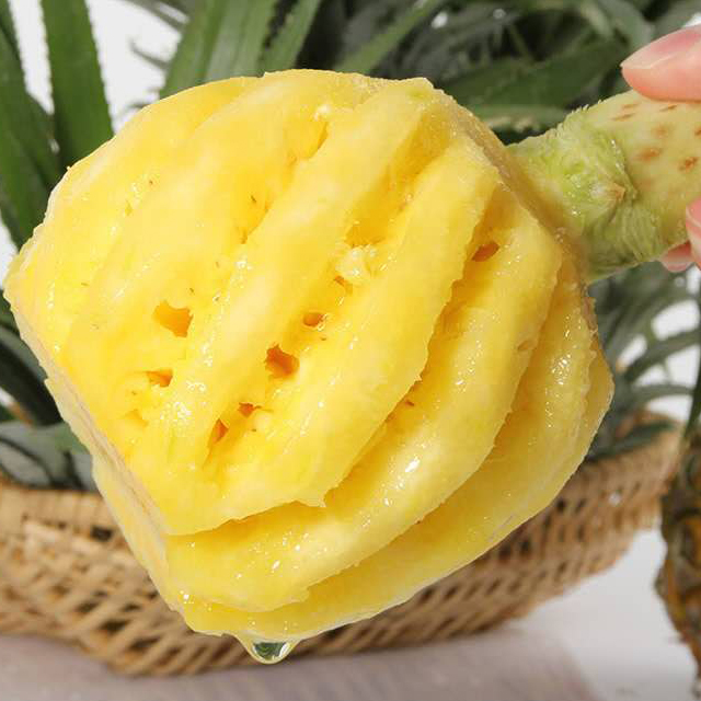 云南河口小菠萝 新鲜直供,鲜甜多汁,薄皮易切,无需泡盐水