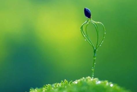 读懂淡然 商品图0