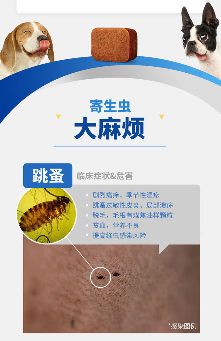 尼可信 口服体外驱虫药 除跳蚤虱子蜱虫螨虫,适口性好,驱虫更简单