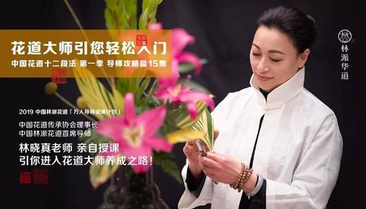 花道研习必备课！中国花道十二段法万人导师微课。第七集户外手感花趣 商品图0