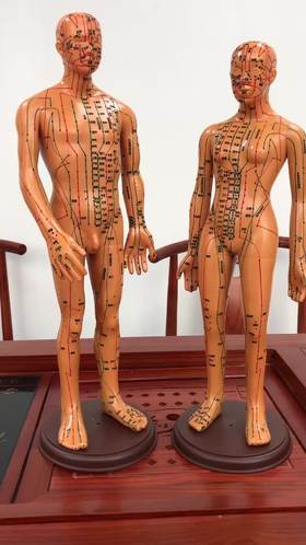 经络穴位铜人（非卖）