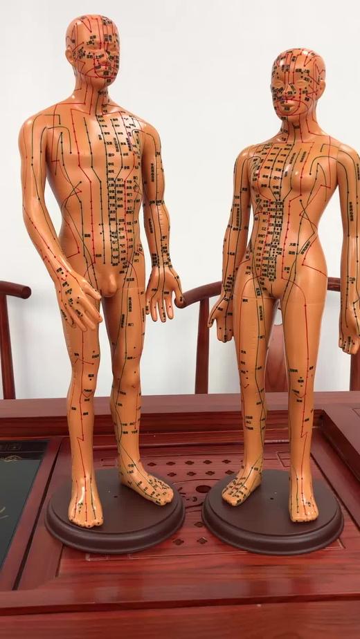 经络穴位铜人（非卖） 商品图0