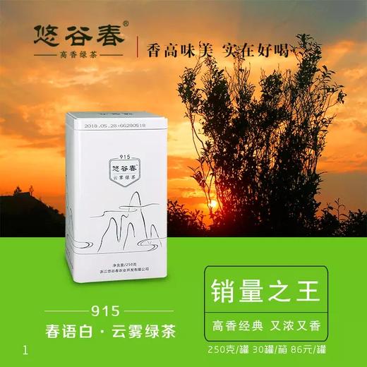 915云雾绿茶试喝样品 商品图0