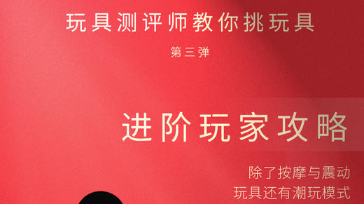 进阶玩家玩具总攻略 商品图0