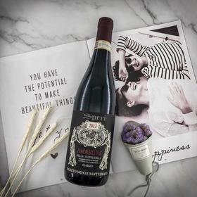 思倍瑞阿玛罗尼经典红葡萄酒