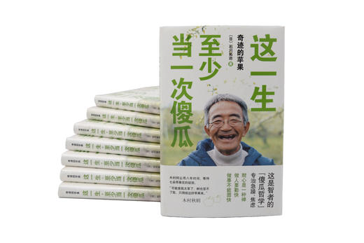 书-《这一生至少当一次傻瓜》 商品图0