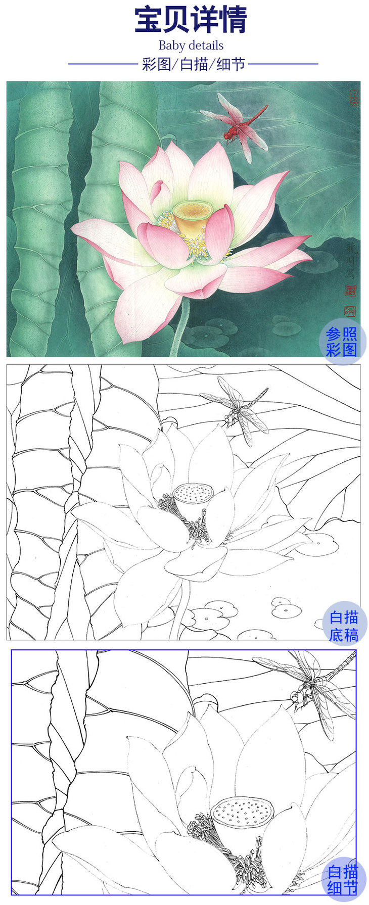 李晓明工笔荷花白描底稿-荷花蜻蜓-k085