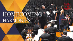 Diaspora | 四海一家