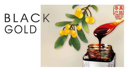 Journey to the Best | 寻真之旅 商品图0