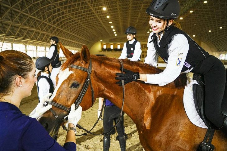 威尼斯——海澜飞马水城,马车游园,环城游艇夜游,贡多拉夜游,马术骑乘