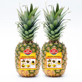 菲律宾佳农凤梨 个/约1500g 进口无眼金菠萝/肉质细嫩 浓甜如蜜