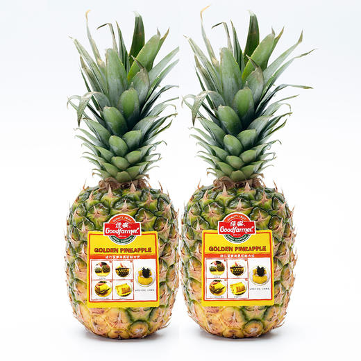 菲律宾佳农凤梨 个/约1500g 进口无眼金菠萝/肉质细嫩 浓甜如蜜 商品图0