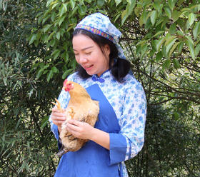 批次181215掌茧鸡