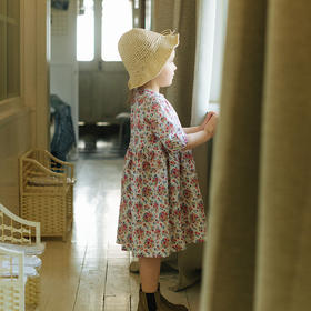 Q065朵/等夏天/圆领碎花抛抛袖连衣裙