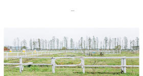 #2019长裙跑 · 黄山太平湖站# 